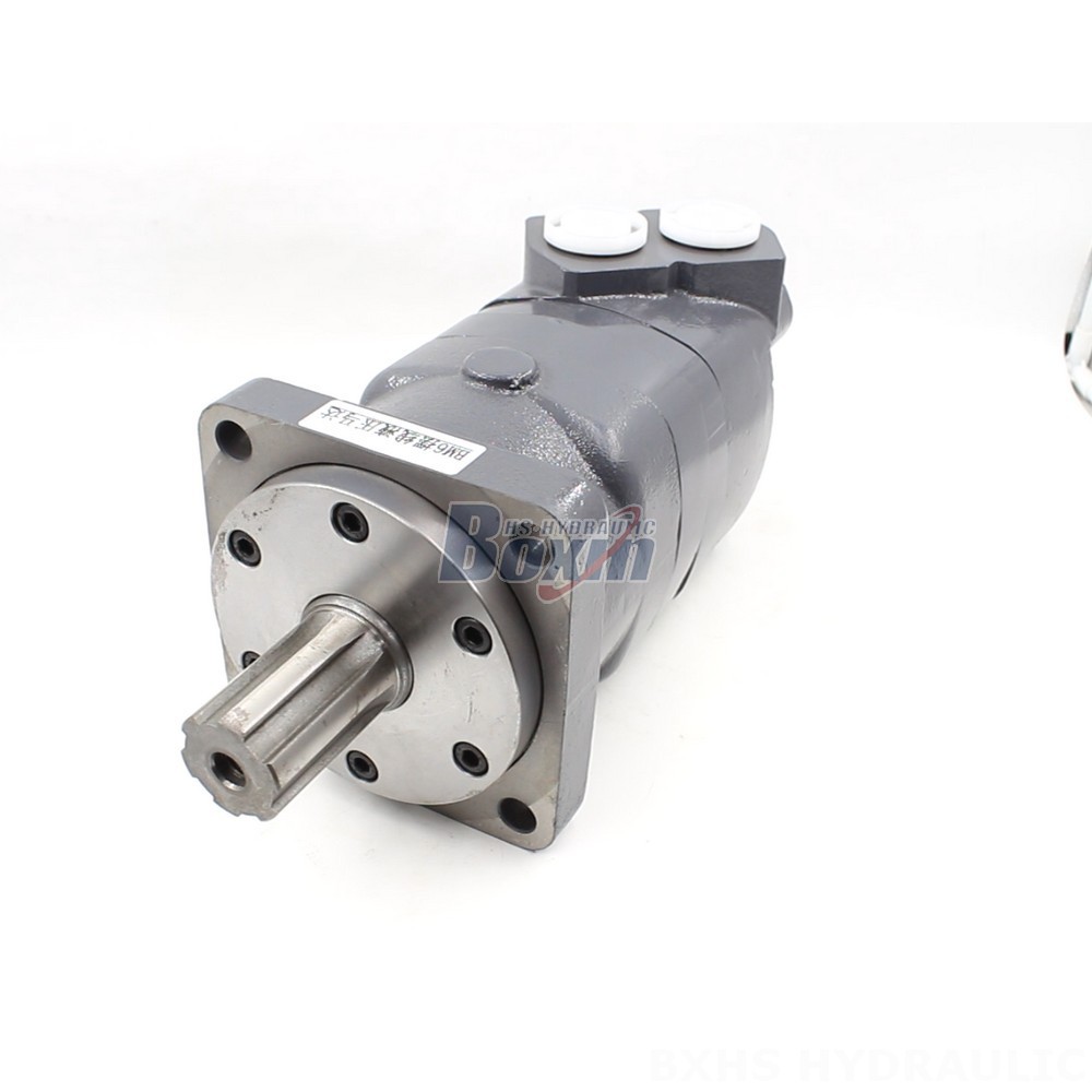 BM6 Cycloid Hydraulic Motor: Partnership Opportunities for Global Distributors cover photo